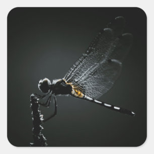 Insect - Dragonfly Wings Vierkante Sticker