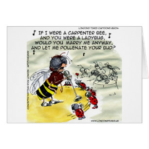 Insect Nachtclub Zangers Grappig