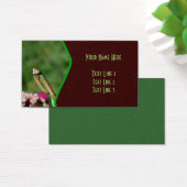 Insect Nature (Bureau)