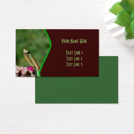 Insect Nature (Bureau)