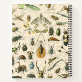  Insect Notitieboek (Achterkant)