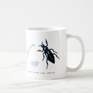 Insect   Sexton Beetle   Blauw Koffiemok