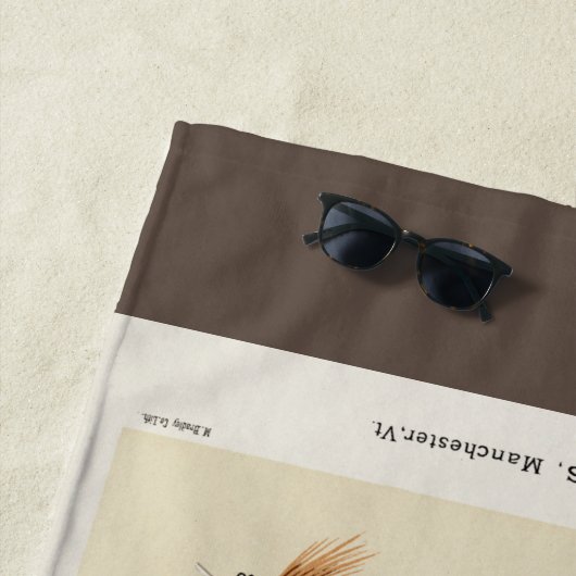 -Insect Trout Flies Wings Strandlaken (In situ)