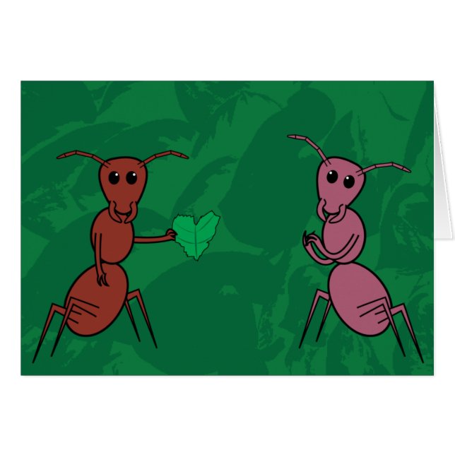 Insecte d'amour (Devant horizontal)