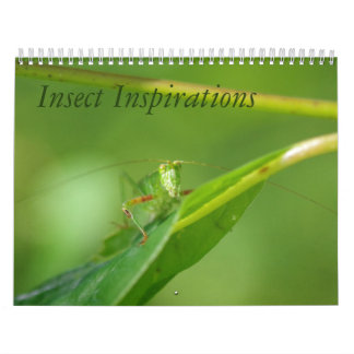 Insecte Inspirations Calendar Kalender