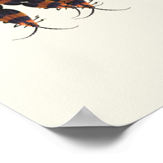 Insecte ou alphabet de bogues de décoration (Coin)