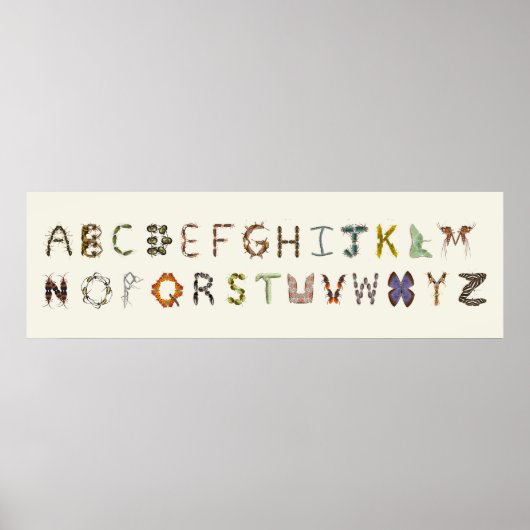 Insecte ou alphabet de bogues de décoration (Devant)