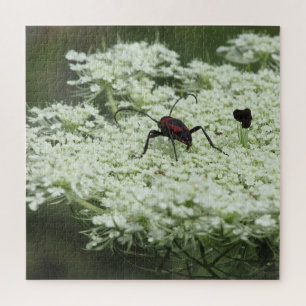 Insecte sur l'Elderflower Jigsaw Puzzle
