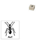 INSECTE TAMPON EN CAOUTCHOUC (Tamponné)