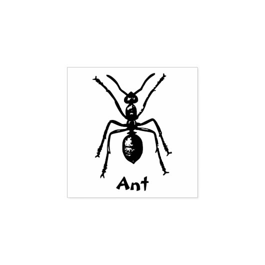 INSECTE TAMPON EN CAOUTCHOUC (Impression)