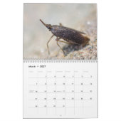 Insecten! Agenda Kalender (Mar 2027)