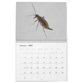 Insecten! Agenda Kalender (Jan 2027)