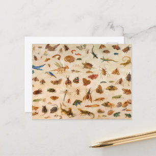 Insecten, amfibieën en schelpen door Jan van Kesse Feestdagenkaart