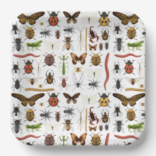 Insecten Bugs Papieren Bordje