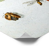 Insecten door Jan van Kessel de Elder Poster (Hoek)
