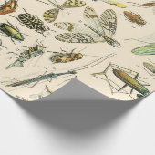 Insecten en bugs cadeaupapier (Hoek)