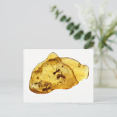 Insecten in amber briefkaart (Staand voorkant)