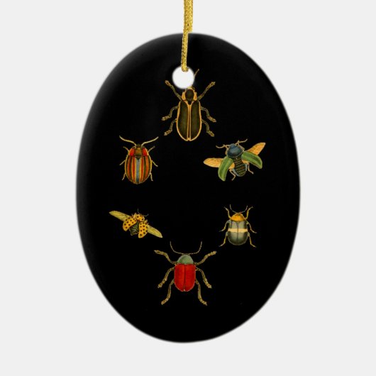 Insecten Keramisch Ornament (Voorkant)