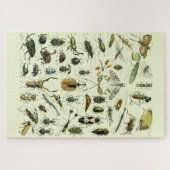  Insecten Legpuzzel (Horizontaal)