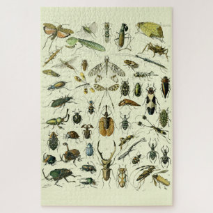  Insecten Legpuzzel