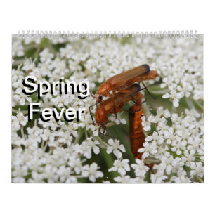 Insecten Macro's 2024 Kalender