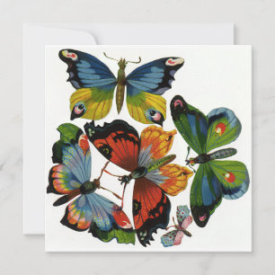 insecten of buiken, mooie buikvlies