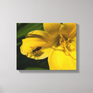 Insecten op een gele bloem canvas afdruk