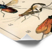 Insecten Perfect Poster (Hoek)