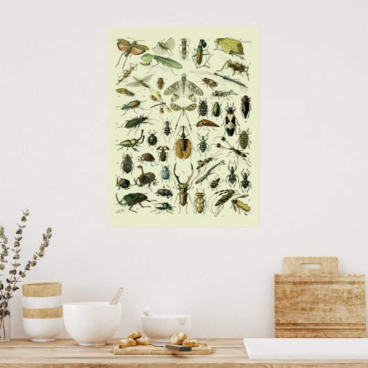  Insecten Poster (Keuken)