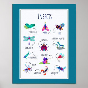 Insecten School Onderwijs Leren Poster