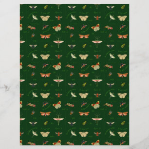 Insecten Scrapbook Paper Forest Green