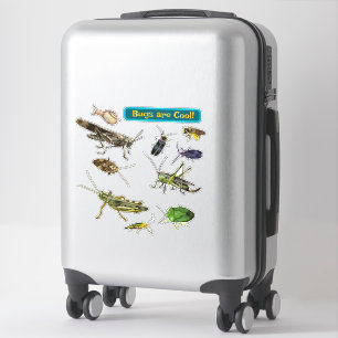 Insecten zijn Cool! Insecten Sticker