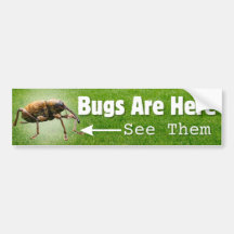 Insecten zijn hier... Weevil Edition Bumpersticker