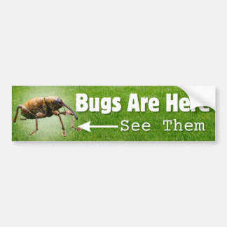 Insecten zijn hier... Weevil Edition Bumpersticker