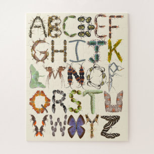 Insectenalfabet - alfabetbeestjes legpuzzel