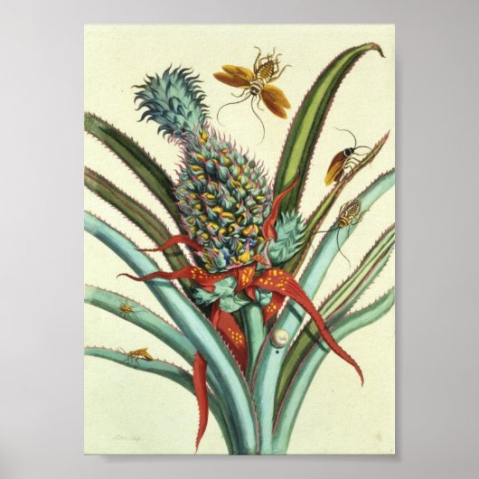 Insectengeneraties Bord 1 Poster (Voorkant)