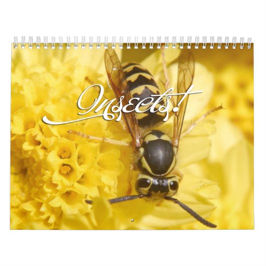 Insectenkalender Kalender (Hoes)