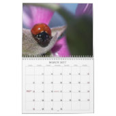 Insectenkalender Kalender (Mar 2027)