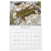 Insectenkalender Kalender (Feb 2026)