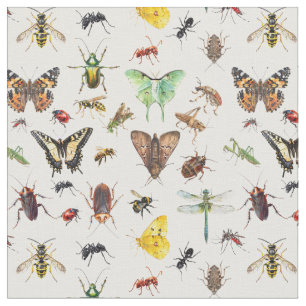Insectenleven Bugs Stof
