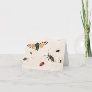 Insectenonderzoek door Johannes Bronckhorst Bedankkaart