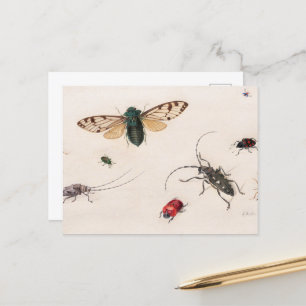 Insectenonderzoek door Johannes Bronckhorst Briefkaart