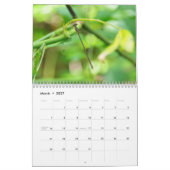 Insectes : Calendrier grand et petit (Mar 2027)