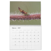 Insectes : Calendrier grand et petit (Feb 2027)