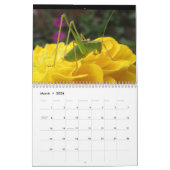 Insectes Calendrier personnalisé (Mar 2026)