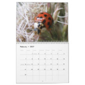 Insectes Calendrier personnalisé (Feb 2027)