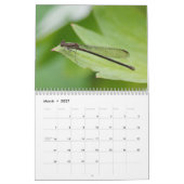 Insectes du calendrier du mois (Mar 2027)