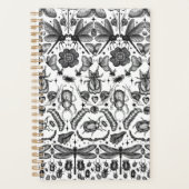 Insectes et bogues (Devant)