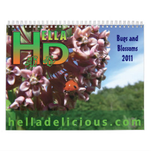 Insectes et calendrier des fleurs 2011