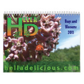 Insectes et calendrier des fleurs 2011 (Protection)